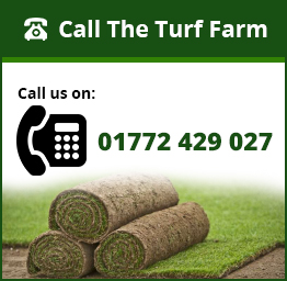 Call The Turf Farm