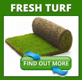 Fresh turf